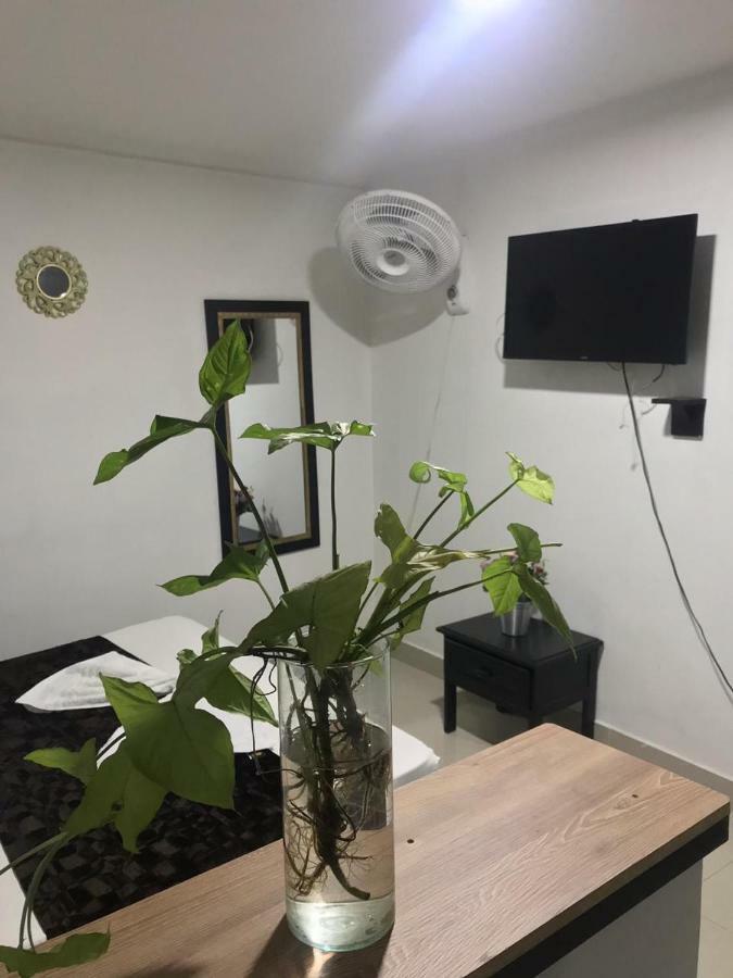 ميديلين Hotel Bulerias 33 المظهر الخارجي الصورة
